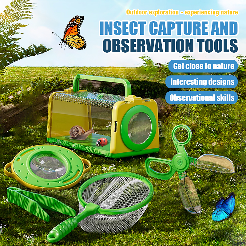 Insect Capture Cage Observatio - Kids Outdoor Gifts 评论和价格