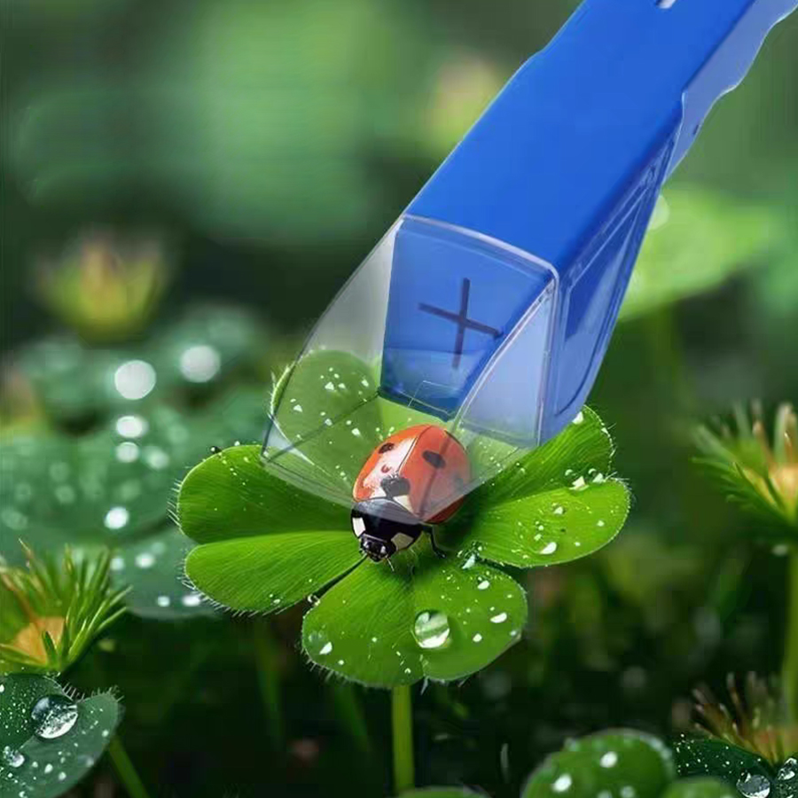 Kids Insect Catcher Box Magnif - Kids Outdoor Gifts 评论和价格
